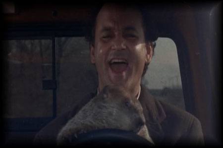 groundhogday