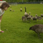 img_2888 img_2888