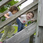 img_3118 img_3118