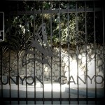 photo-15