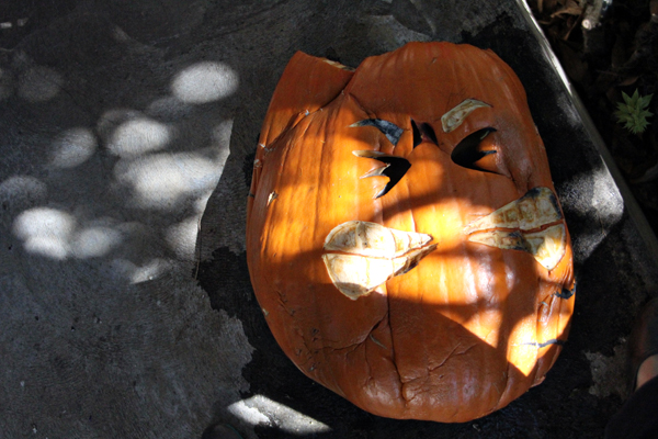 Death of Butt Pumpkin